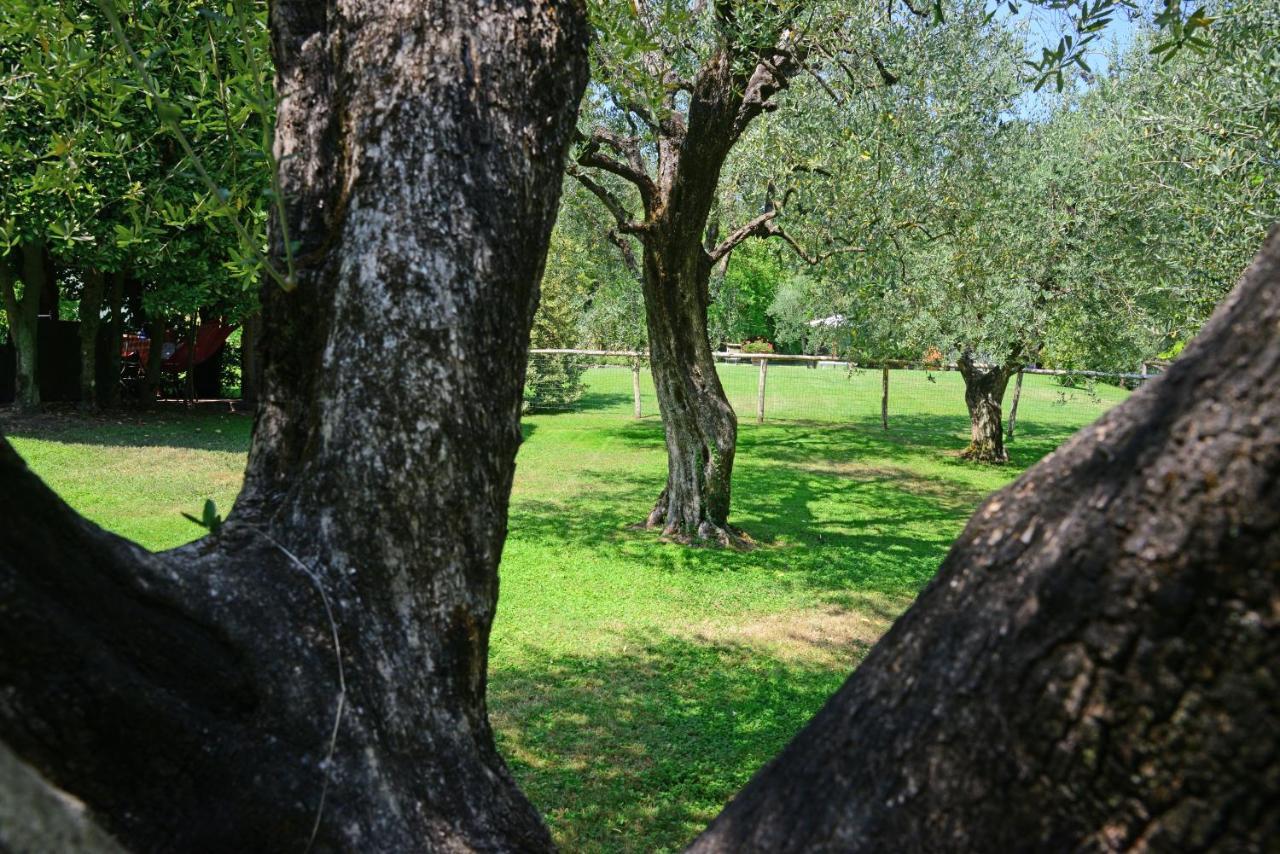 Agriturismo Corte Stefani คาปานโนริ ภายนอก รูปภาพ